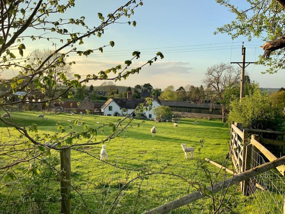 The Cart House - Beautiful Contemporary Barn - Hot Tub Lägenhet Bridgnorth Exteriör bild